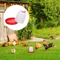  Automatischer Trinkbrunnen Hühnerfutterspender, Tränken Trinkeimer