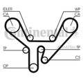 Zahnriemen CONTINENTAL CTAM CT727 für AUDI A6 A8 V8 100 4D2 C4 4A2 4D8 442 441