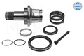 MEYLE Steckwelle Differential 100 498 0244 Rechts für VW SHARAN (7M8, 7M9, 7M6)