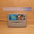 Super Famicom Spiele Games LIBBLE RABBLE Nintendo SNES Japan Sammlung