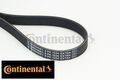 Continental CTAM 6PK1034EXTRA Keilrippenriemen Keilriemen 