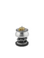 Thermostat 412253.88D BorgWarner (Wahler) für BMW MINI