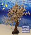 ASIA MYSTIC WOOD Aquarium Wurzel Bonsai Baum auf Schieferplatte
