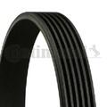 Original CONTINENTAL CTAM Keilrippenriemen 6PK1800 für BMW Opel Renault Saab