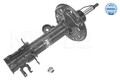 MEYLE 226 623 0022 Stoßdämpfer passend für FIAT OPEL