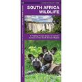 South Africa Wildlife (Pocket Naturalist Guide) - Broschüre NEU James Kavanagh 2