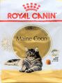(EUR 16,97 / kg) Royal Canin Maine Coon 31 Katzenfutter für Coonies, 2 kg