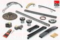 FAI AutoParts (TCK42CRD) Steuerkettensatz für NISSAN