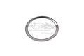 Original Auspuffdichtung Kat und Turbolader für Fiat Ducato 51823801