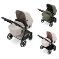 ABC Design Puppenwagen Migno 2 in 1 Kinderwagen Buggy für Puppen Kollektion 2024