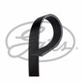 NEU GATES (7PK1236) Keilriemen, Keilrippenriemen für FIAT