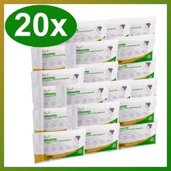 20x HOTGEN Schnelltest Nasal Antigen Laientest Selbsttest Corona Test MHD 10/26