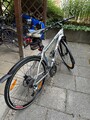 fahrrad 28 zoll herren bulls