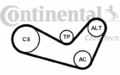 CONTITECH Keilrippenriemensatz für SEAT CORDOBA SKODA FABIA 6PK1080K1