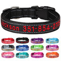Nylon Hundehalsband Bestickt Personalisiert Name Telefonnummer Reflektierend XL