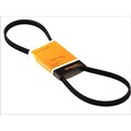 ORIGINAL® Continental Ctam Keilrippenriemen für Fiat PUNTO PUNTO Van Skoda