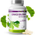 Vita2You Ginkgo Biloba - 400 Tabletten - Hochdosiert - Ginkgo Extrakt - 3950mg