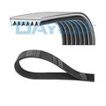 Dayco 7PK1675 Keilrippenriemen für Renault Espace V Opel Fiat Lancia Nissan