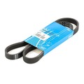 SKF VKMV 5PK1121 Keilrippenriemen für OPEL Vivaro A Kastenwagen (X83) 1121mm