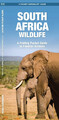 South Africa Wildlife | James Kavanagh (u. a.) | Taschenbuch | Englisch | 2022