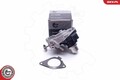 ESEN SKV AGR-Ventil 14SKV233 für BMW MINI TOYOTA