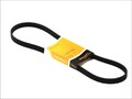 Keilrippenriemen CONTINENTAL 5PK1135