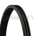 CONTINENTAL CTAM 3PK675 Keilrippenriemen für AUTOBIANCHI,FORD,HYUNDAI,KIA,LANCIA