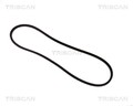 Keilriemen TRISCAN 8640 100800 für AUDI BMW FORD VW OPEL RENAULT 100 VECTRA 800