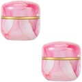  Set of 2 Tee-Aufbewahrungsbox Teedose Teedosen Luftdicht Verschließen