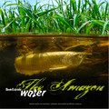 Der Amazonas unter Wasser - von Oliver Lucanus (Buch) - schneller & kostenloser Versand