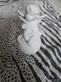 Engel Deko Figur