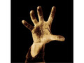 System Of A Down - System Of A Down - Vinyl