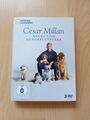 CD Cesar Millan Neues Vom Hundeflüsterer