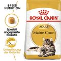 ROYAL CANIN Maine Coon Adult Katzenfutter trocken 2 kg