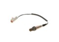 BOSCH 2x Lambdasonde Sensor Abgassteuerung 0 258 986 603/2x für FORD FOCUS 1 DAW