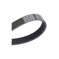 ORIGINAL® Dayco Keilrippenriemen für Fiat SCUDO Kasten MAREA Weekend ULYSSE