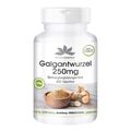 Galgantwurzel 250 mg - 400 Tabletten für 200 Tage  - 100 % vegan | herba direkt