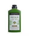 John Frieda/Repair "Detox" Shampoo 250ml/Haarpflege 