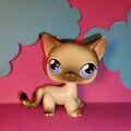 Littlest Pet Shop LPS 5 - Authentic Shorthair Katze Cat + Random Pets Included!