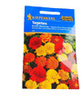 Studentenblumensamen Studentenblumen Tagetes Kiepenkerl Bonita ca. 40 Samen