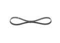 Keilrippenriemen Elastic BOSCH 1 987 946 116 für STILO DOBLO FIAT MAREA Multi