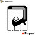 WELLENDICHTRING KURBELWELLE NJ252 FÜR PROTON G13B/-P4G134G13-P 1.3L 4cyl HYUNDAI
