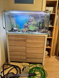 aquarium komplett mit vielen Extras 