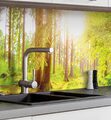 Küchenrückwand selbstklebend Wald Spritzschutz Folie