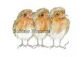 S.Finnern"Gartenkonzert"-Rotkehlchen-Vogel-bird-watercolor-Aquarell