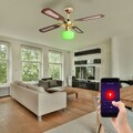 Deckenventilator Deckenlampe Smart LED dimmbar App Lüfter Farbwechsel D 105 cm