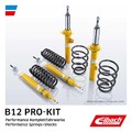 Fahrwerkssatz Federn/Dämpfer EIBACH B12 Pro-Kit E90-85-003-02-22 für VW VENTO 3