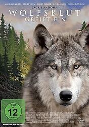 Jack London - Wolfsblut greift ein von Tonino Ricci | DVD | Zustand sehr gutGeld sparen & nachhaltig shoppen!