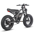 Fafrees Elektrofahrrad 20 Zoll Fettreifen E Bike 25AH Fatbike 750W Shimano NEU
