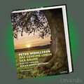 DAS GEHEIME LEBEN DER BÄUME | PETER WOHLLEBEN | Der Bildband zum Bestseller